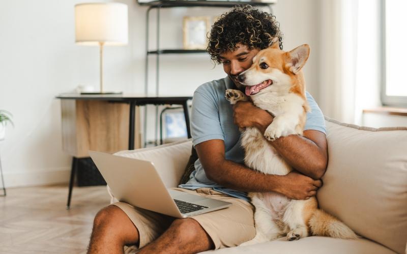 a person and a dog on a couch with a laptop