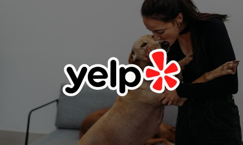 Yelp woman hugs her dog